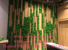 Thi công tường cỏ nghệ thuật tại dự án Vinhome Green Bay