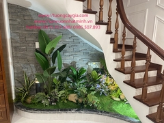 Trang trí góc tiểu cảnh cầu thang tại nhà chị Hồng quận Lê Chân - Hải Phòng