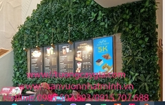 Lắp đặt vách tường cây giả tại Highlands Coffee tòa nhà IPH số 241 Xuân Thủy, Cầu Giấy, Hà Nội