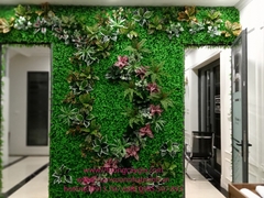 Tường cỏ điểm cây hoa lá tại Dương Nội - Hà Đông
