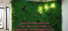Một số mẫu tường cỏ gắn cụm lá ưu chuộng tại HN- SG