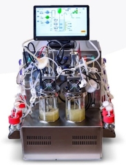 Hệ thống phản ứng sinh học vi sinh kép 1 L, Model: 1 L TWIN BIOREACTOR, Hãng: Froilabo-Pháp