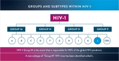 Phát hiện kiểu gen phụ mới của HIV có ý nghĩa gì?