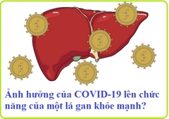 Cập nhật Ảnh hưởng của Covid 19 đối với gan khỏe mạnh