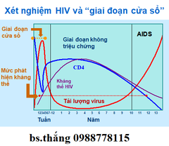 Giai đoạn cửa sổ HIV là gì? Bao lâu sau phơi nhiễm HIV làm xét nghiệm chính xác nhất?