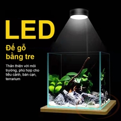 Đèn led đế gỗ Bambo 3, 5, 7, 9W