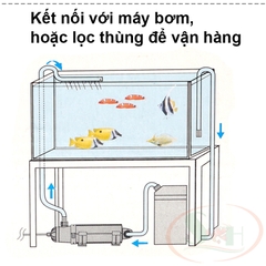 Đèn UV Atman 5W, 9W, 11W, 18W, 36W UV-Lamp