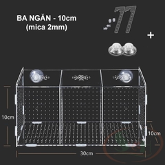 Box mica OEM hít treo dưỡng cá tép