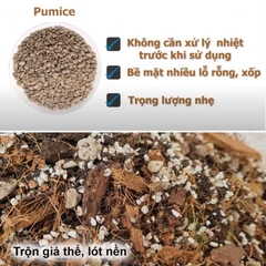 Đá lông vũ nham thạch trắng Indonesia Pumice