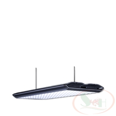 Đèn led LedStar AQ WRGB X series X60