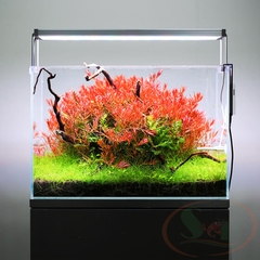 Đèn led Twinstar S Line III WRGB 600SA, 900SA