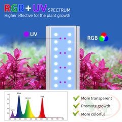 Đèn led Week RGB-UV S series S300, S400, S450