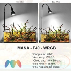 Đèn rọi Mana Focus Light F40, F60 WRGB