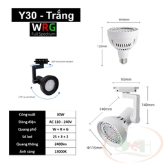 Đèn rọi ray Week WRG Rainforest Light Y series Y30, Y35