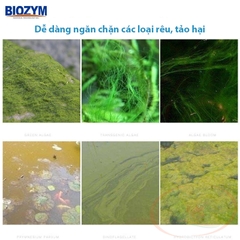 Diệt rêu hại Biozym Algae Remover