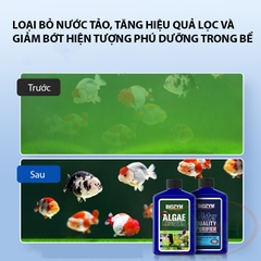 Diệt rêu hại Biozym Algae Remover