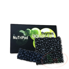 Giá thể trồng cây Thủy Mộc Nutripad chữ nhật