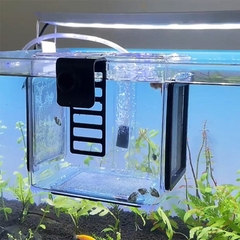 Lồng dưỡng mica BSFH Fish Isolation Box