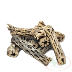 Lũa cholla cactus wood xương rồng