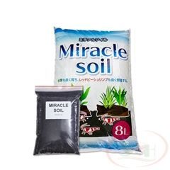 Nền Miracle Soil