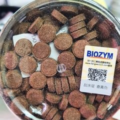 Thức ăn cá Biozym Brine Shrimp Patch Feed viên dán