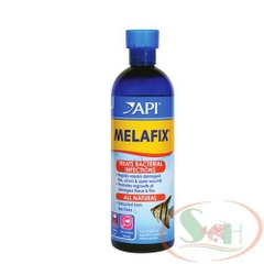 Thuốc trị khuẩn API Melafix