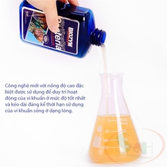 Vi sinh nước Biozym Nitrifying Bacteria