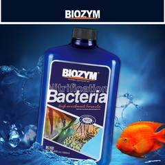 Vi sinh nước Biozym Nitrifying Bacteria