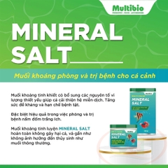 Viên muối khoáng Multi Color Mineral Salt
