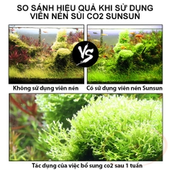 Viên nén sủi co2 Sunsun