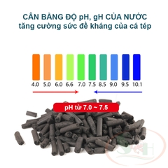 Viên nén than hoạt tính Xinyou Active Carbon