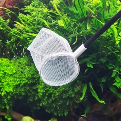 Vợt tép Taiwan lưới cứng chống sốc