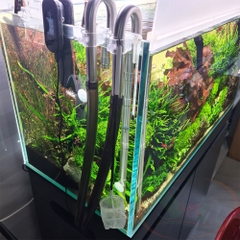 Vợt tép Taiwan lưới cứng chống sốc