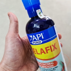 API Pond Melafix