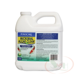 Xử lý tảo API Microbial Algae Clean