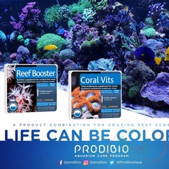Prodibio Coral Vits