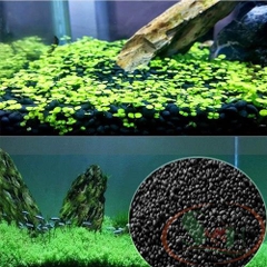 Tropica Aquarium Soil