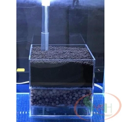 Hộp lọc đáy Taiwan DIY Undergravel Filter Box