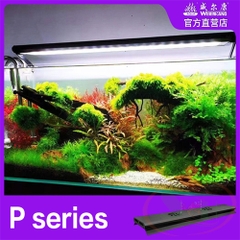 Đèn led Week RGB UV Pro P series P600, P900, P1200