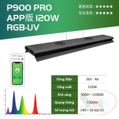 Đèn led Week RGB UV Pro P series P600, P900, P1200