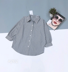 Áo Sơ Mi Cánh Dơi TLT