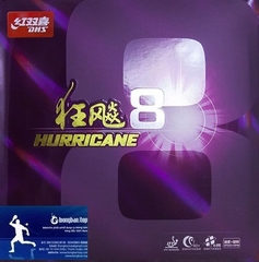 DHS Hurricane 8