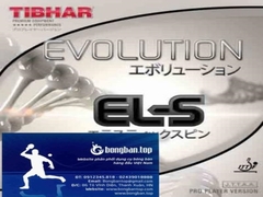 Tibhar Evolution EL-S