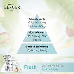 MAISON BERGER - Lọ tinh dầu khuếch tán hương Zest Of Verbena - 125ml