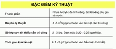 AC 02 Plus - Hợp chất chống thấm kết hợp xi măng