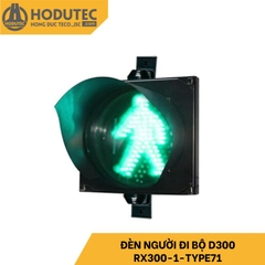 Đèn người đi bộ D300, RX300-1-TYPE71