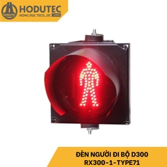 Đèn người đi bộ D300, RX300-1-TYPE71