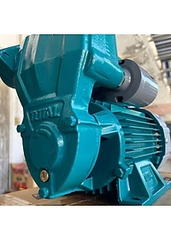 Máy bơm nước 750W TOTAL TWP97506