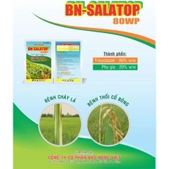 BN-SALATOP 800 WP