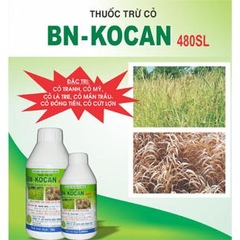 BN-KOCAN 480SL